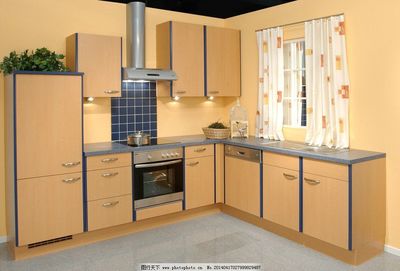 廚柜設(shè)計(jì)圖片 解鎖廚房專(zhuān)業(yè)設(shè)計(jì)的視覺(jué)靈感與實(shí)用指南