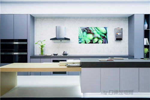 方太戰(zhàn)略升維 以共振創(chuàng)新打造廚電新生態(tài)，引領(lǐng)廚房的專(zhuān)業(yè)設(shè)計(jì)